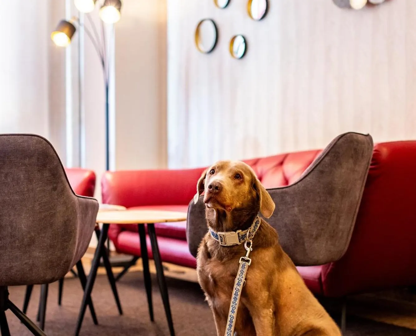 Maingau Hotel Frankfurt am Main 3*,
